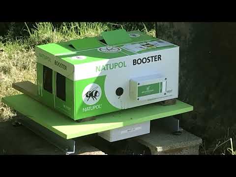 Monitorando os coletores