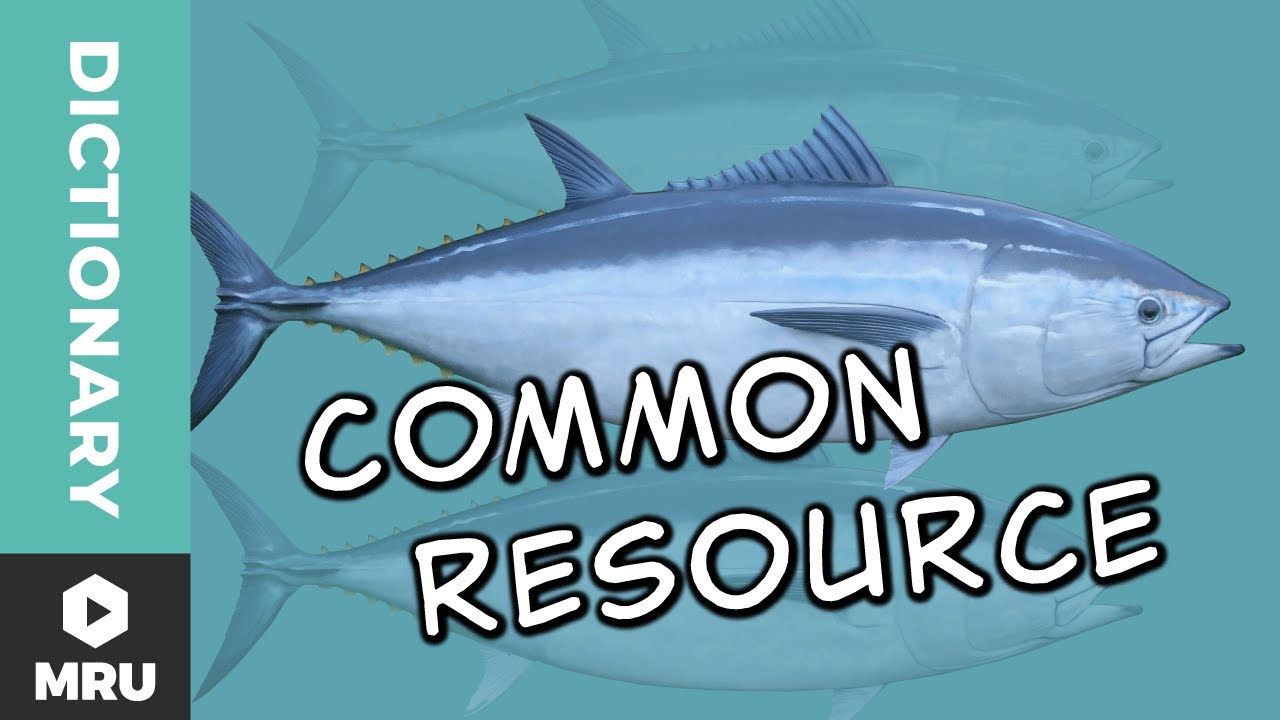 What Is a Common Resource?