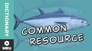 What Is a Common Resource?