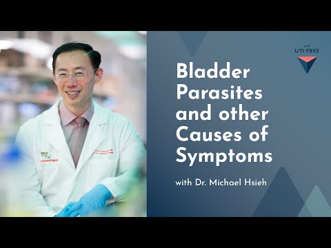 Bladder Parasites and other Causes of Symptoms: Dr. Michael Hsieh on Chronic UTI, Part 1