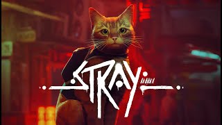 【初見】Stray　こっそり猫ゲーやります