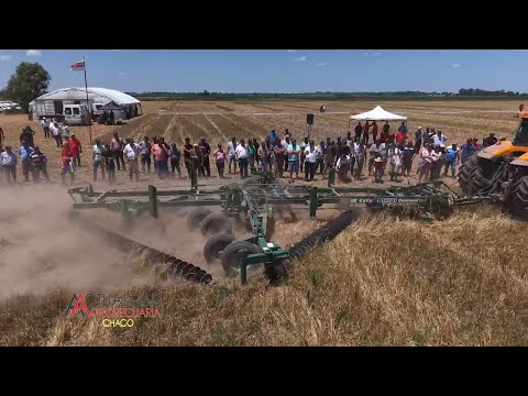 GIORGI A CAMPO ABIERTO - ZAVALLA SANTA FE - segunda parte.