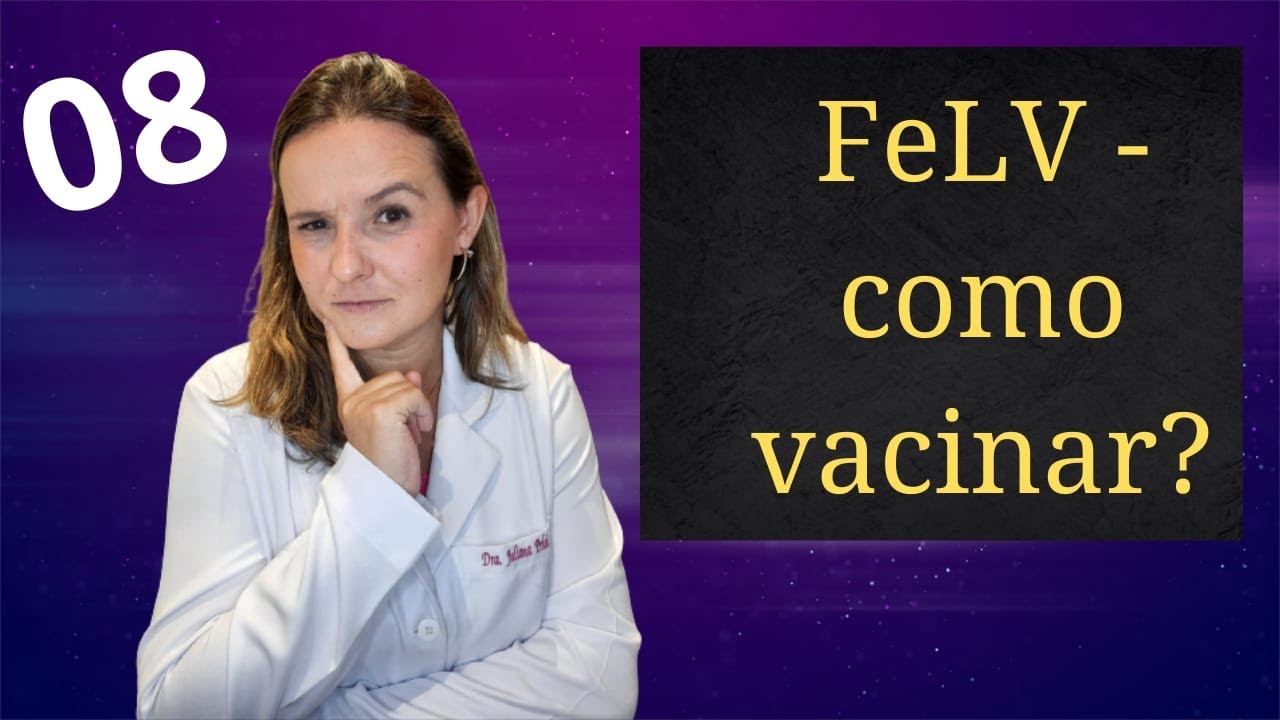 FeLV - Como realizar a vacina? Protocolo vacinal
