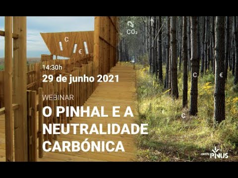 O pinhal e a neutralidade carbónica