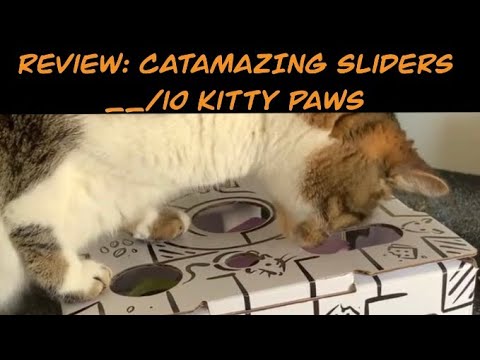 Review: CatAmazing Sliders! __/10 Paws??