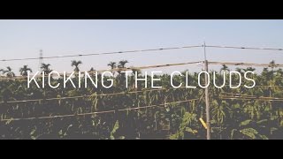 Lazy Habits - Kicking The Clouds
