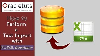 Pl/Sql Developer Overview | What is a pl/sql developer? - Zippia