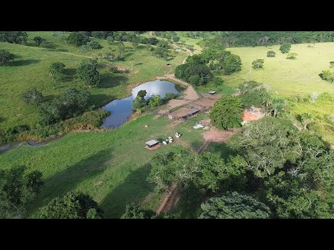 Fazenda de 261,31 hectares rica em água apenas 75 km de Goiânia R$ 13.500.000,00