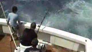 450 pound Black Marlin eaten by shark