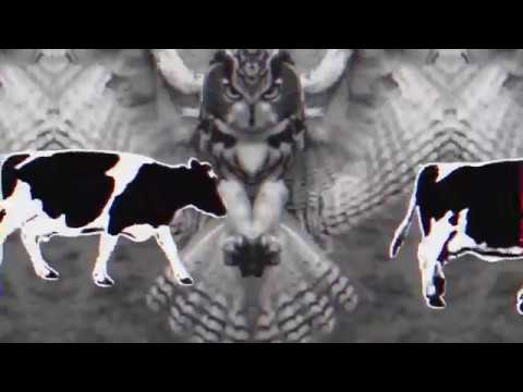 ECL3CTIC - Oracle (Original Mix)