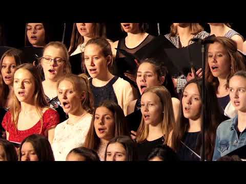 Frühjahrskonzert 2019 „Es ist verraten“