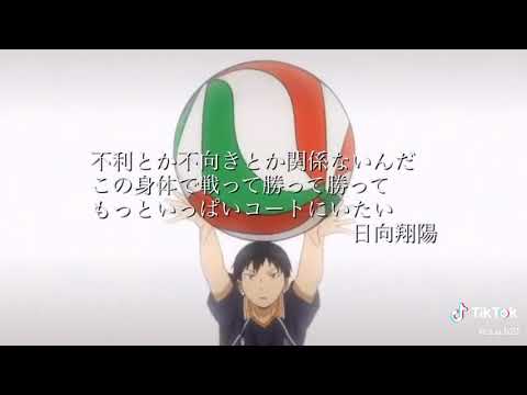 Descargar ハイキュー 名言 アイコン Descargar ハイキュー 名言 アイコン