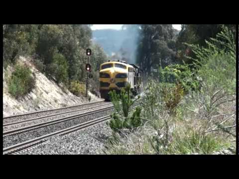 El Zorro grain train up Warrenheip Bank