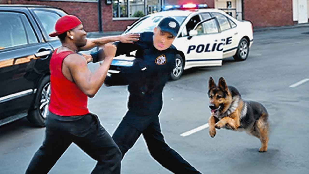 When Cops Are Saved By Police Dogs