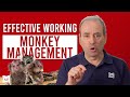 What is Monkey Management? How to Deal with a Monkey on Your Back