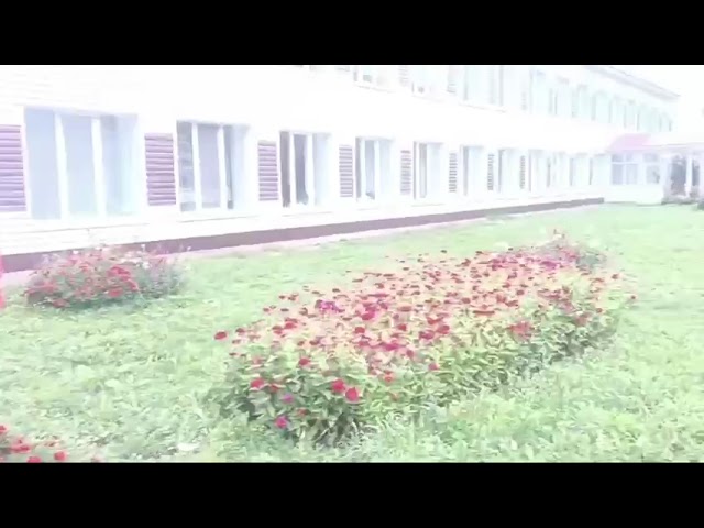 Олы Мишә мәктәбе территорияләрне төзекләндерү буенча узучы район бәйгесендә катнаша