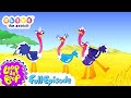 Olive The Ostrich Series 1 Full Episodes Kids Cartoons