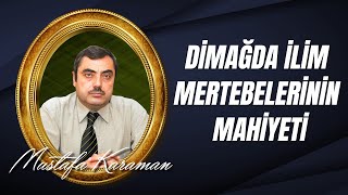 Mustafa KARAMAN - Dimağda İlim Mertebelerinin Mahiyeti