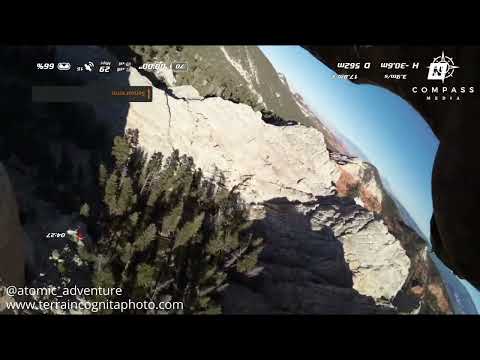 Eagle Attacks & Grabs Drone Midair