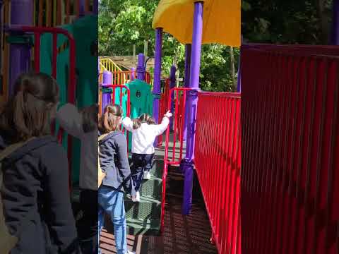 大埔海濱公園的兒童遊樂園1
