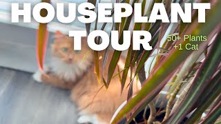 HOUSEPLANT TOUR Over 50 Plants! | Touring my friends indoor houseplant collection