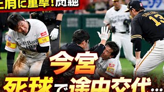 ソフトバンク・今宮、左肩死球で負傷交代💥😞 膝をつき悶絶、謝る伊藤に手を挙げて対応🙌【試合ハイライト】」(Tokyo sports 10)