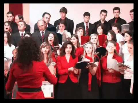 Cor AZS Viena -Mantuitor Preasfant