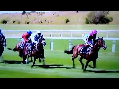 Falmouth stakes 335 Newmarket, July the 8th 2022