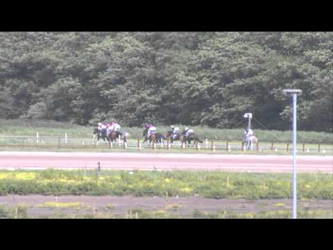 Duindigt 23-06-2013 koers 7