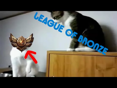 LEAGUE OF BRONZE ~ [League of Legends Parody]