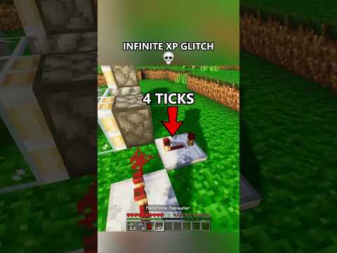 INFINITE XP GLITCH😭 #lollimc #minecraft