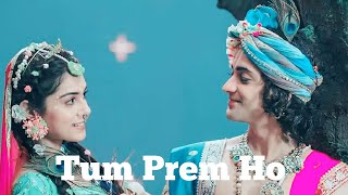 RadhaKrishn - Tum Prem Ho Tum Preet Ho (Original V