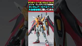 - 大会参加者にデスティニーガンダムハイネ専用機について聞いてみた