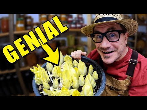 Selbstversorgung im Januar: Gemüse anbauen / Anzünder selber machen