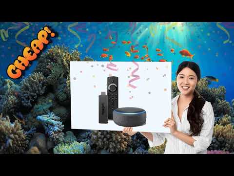 CHEAP: Become a streamlord with $20 off this Fire Stick and Echo Dot combo