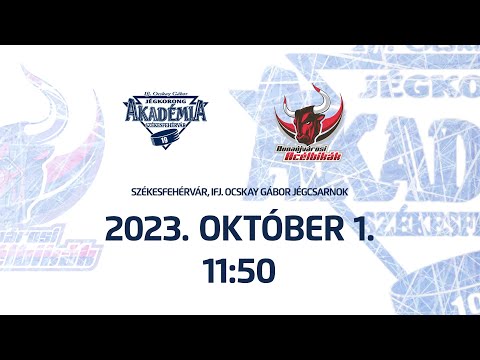 U12 kék | ifj. Ocskay Gábor Jégkorong Akadémia - Dunaújvárosi Acélbikák