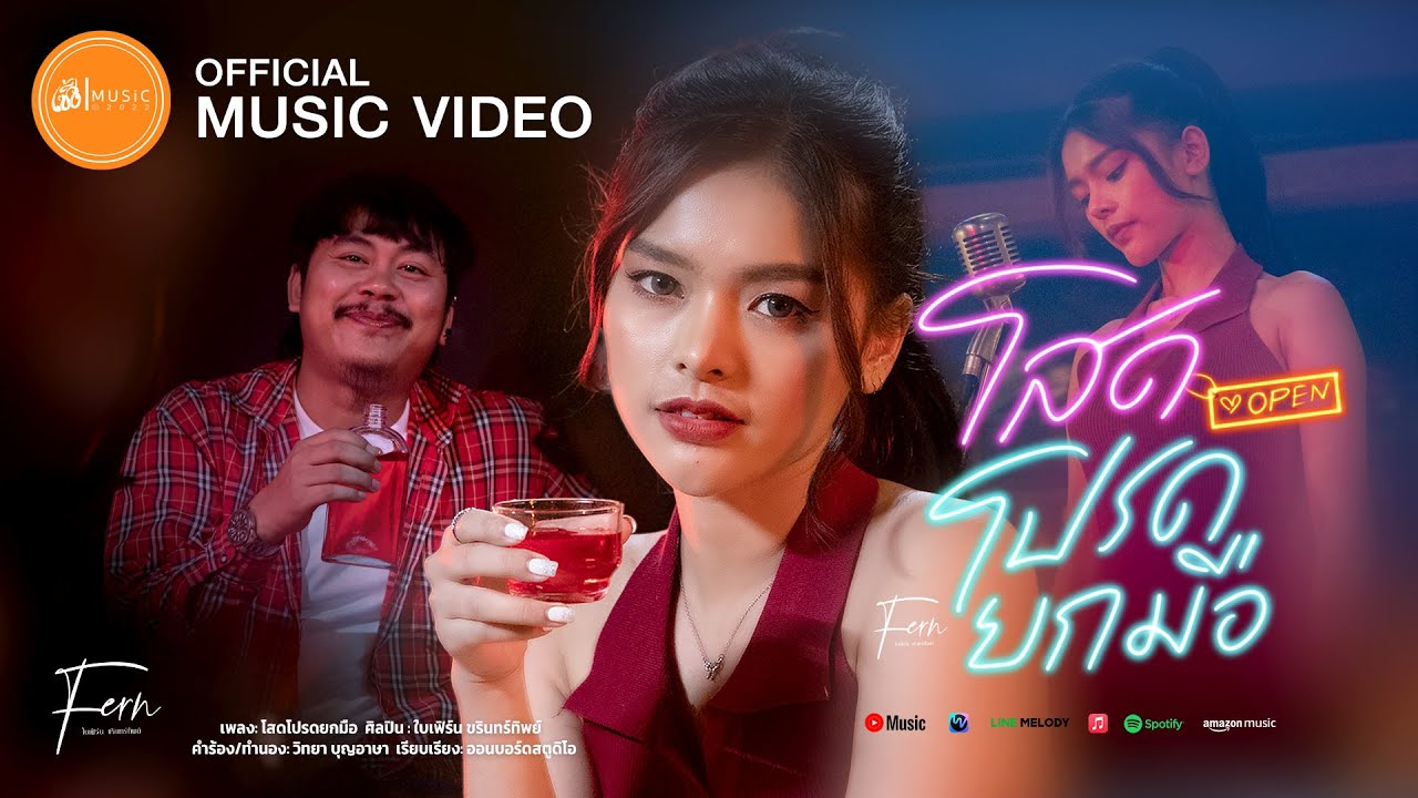 เนื้อเพลง โสดโปรดยกมือ ใบเฟิร์น ขรินทร์ทิพย์