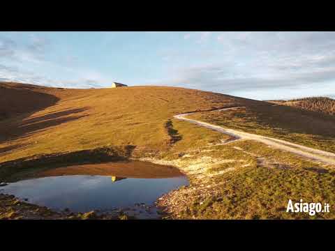 PASSEGGIATA SERALE IN LOCALITA' LARICI sull'Altopiano di Asiago Sette Comuni