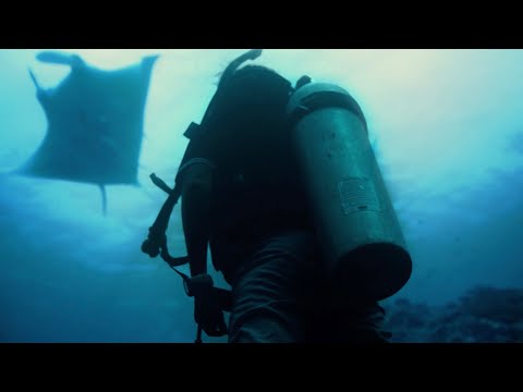 "ދަ އޯޝަންސް- އަވާ ހޯމް" ކެމްޕެއިން ލޯންޗުކޮށްފި