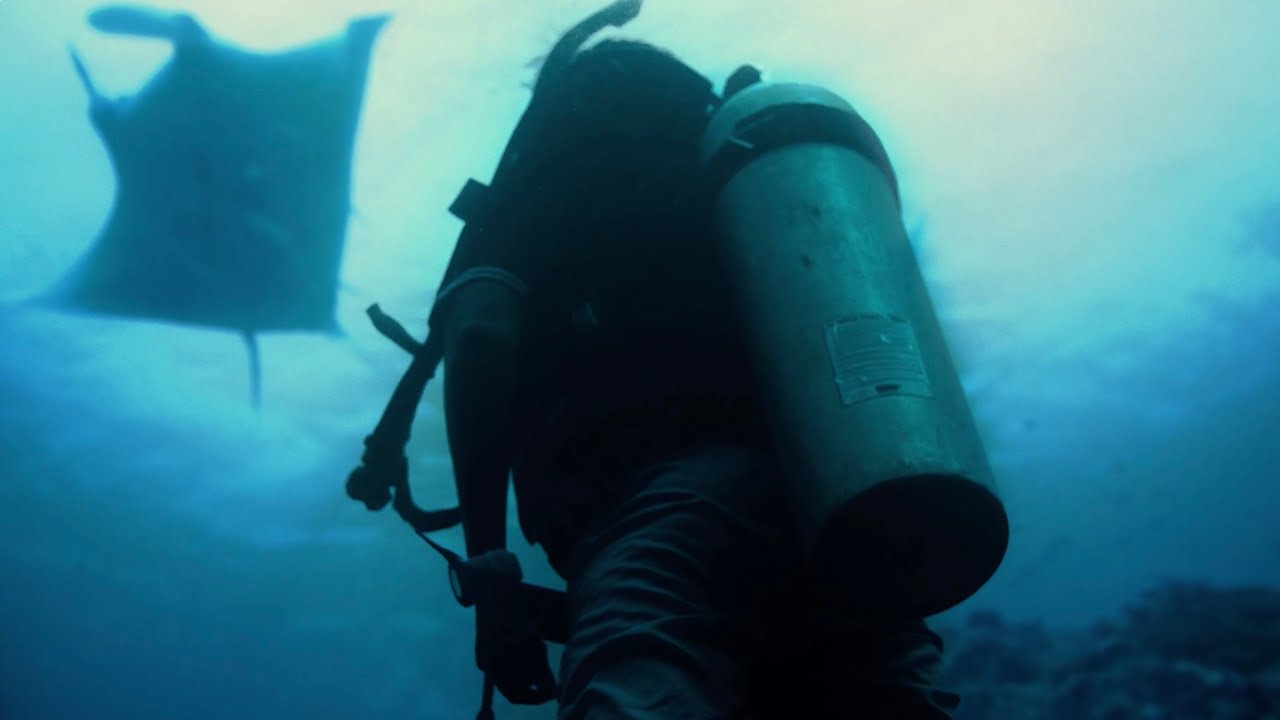 "ދަ އޯޝަންސް- އަވާ ހޯމް" ކެމްޕެއިން ލޯންޗުކޮށްފި