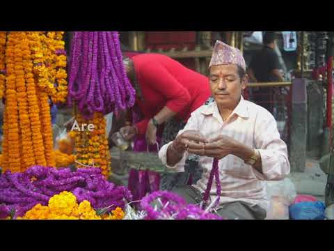 イースト・アングリア大学について詳しく解説