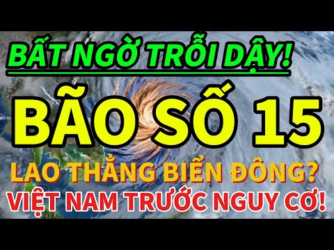 🔥 BÃO SỐ 15 TRỖI DẬY? DỮ LIỆU MỚI BÁO HIỆU NGUY CƠ LỚN!