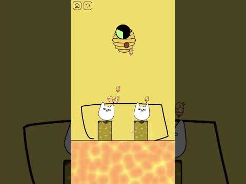 Save the Cat