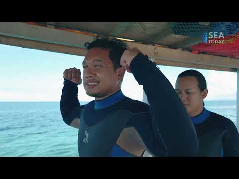 THE WAKATOBI SERIES: "TOMIA'S TOP DIVES AND THE BLACKSMITHS OF BINONGKO"