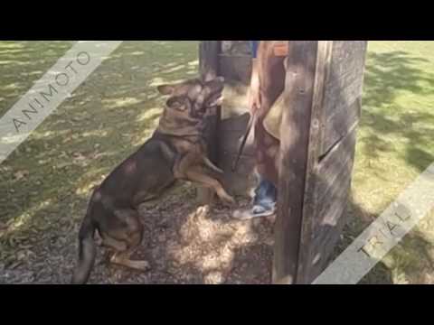 Noxxx di Casa Nosella