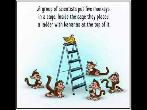 don't blindly follow the others without knowing the reason | Self Development Story