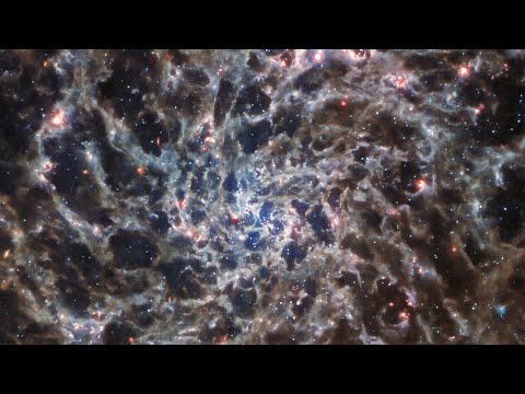 Gifted Zone By Cboesch Ft. Vickie-X