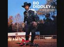 Bo Diddley - Ooh Baby 1966