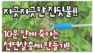 진딧물,총채벌레,굴파리 잡아주는 천연살충제 만들기!!!