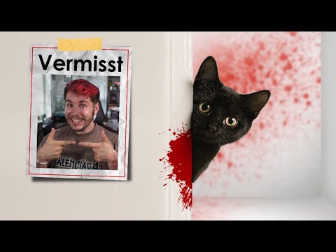 1 cute cat & she didn't do anything at all 🫣